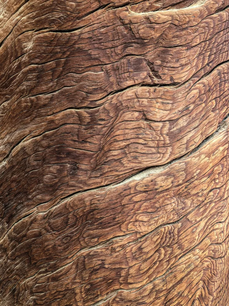madera